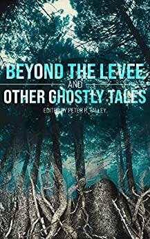 &quot;Observers&quot; - Beyond the Levee